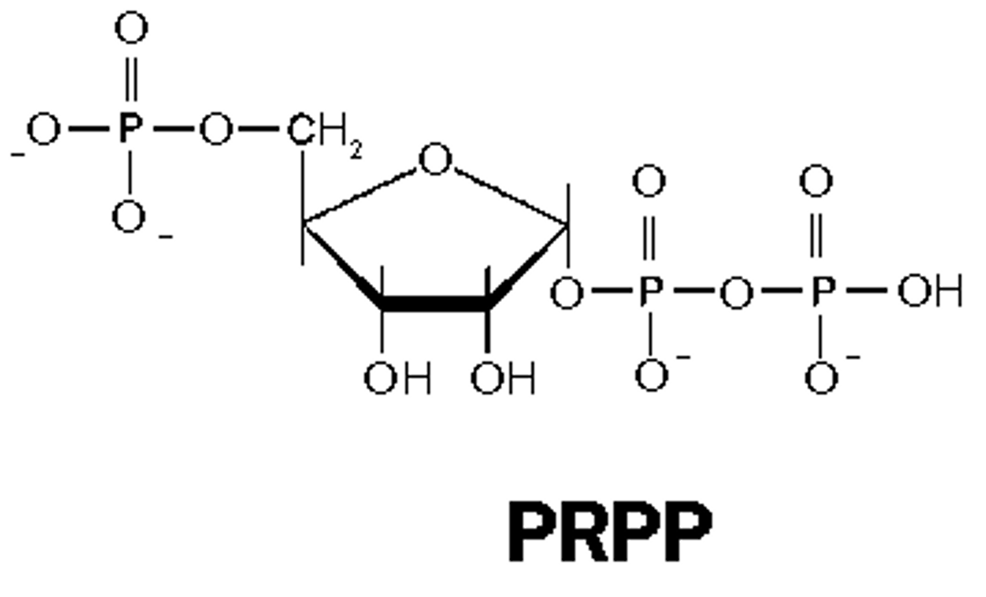 <p>5-phosphoribosyl-1-pyrophosphate</p><p>the basic sugar for nucleotide metabolism that is for both purine and pyrimidine synthesis</p>