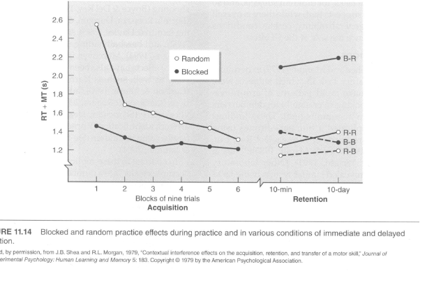 <p><strong>Key Findings</strong></p><ul><li><p><strong>Acquisition (Practice Phase)</strong>:</p><ul><li><p><strong>Blocked practice</strong> led to <strong>better performance</strong> during practice (e.g., participants improved faster).</p></li><li><p><strong>Random practice</strong> caused participants to struggle more and perform worse during the practice phase.</p></li></ul></li><li><p><strong>Retention Tests (10 min and 10 days)</strong>:</p><ul><li><p><strong>Random Practice (R-R Group)</strong>: Outperformed those who trained with blocked practice, even when tested under random conditions.</p></li><li><p><strong>Blocked Practice (B-R Group)</strong>: Performed poorly during random retention tests, despite their earlier practice advantage.</p></li><li><p><strong>Retention under Blocked Conditions</strong>: Even when tested in blocked sequences, participants who had practiced randomly (R-B) outperformed those with blocked practice (B-B).</p></li></ul></li><li><p><strong>Transfer to Novel Tasks</strong>:</p><ul><li><p>Similar results—random practice enhanced participants' ability to <strong>adapt and transfer</strong> their skills to new movement patterns.</p></li></ul></li><li><p><strong>Conclusion and Implications</strong></p><ul><li><p><strong>Blocked Practice</strong>: Leads to short-term gains but <strong>poor retention and adaptability</strong>.</p></li><li><p><strong>Random Practice</strong>: Though harder during acquisition, it promotes <strong>better retention</strong> and <strong>skill transfer</strong> over time.</p></li><li><p><strong>Contextual Interference Effect (CI Effect)</strong>: The study supports <strong>Battig’s theory</strong> that interference during practice enhances long-term learning by forcing learners to engage in <strong>more effortful processing</strong>.</p></li></ul></li><li><p><strong>Applications</strong>:</p><ul><li><p>Coaches, teachers, and therapists can improve <strong>real-world performance</strong> by incorporating <strong>random practice</strong> into training, even though it makes learning harder initially.</p></li></ul></li></ul><p></p>