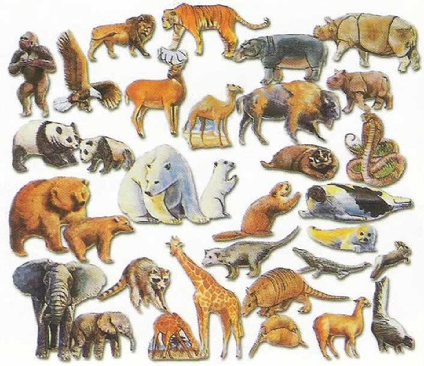 <p>Les animaux</p>