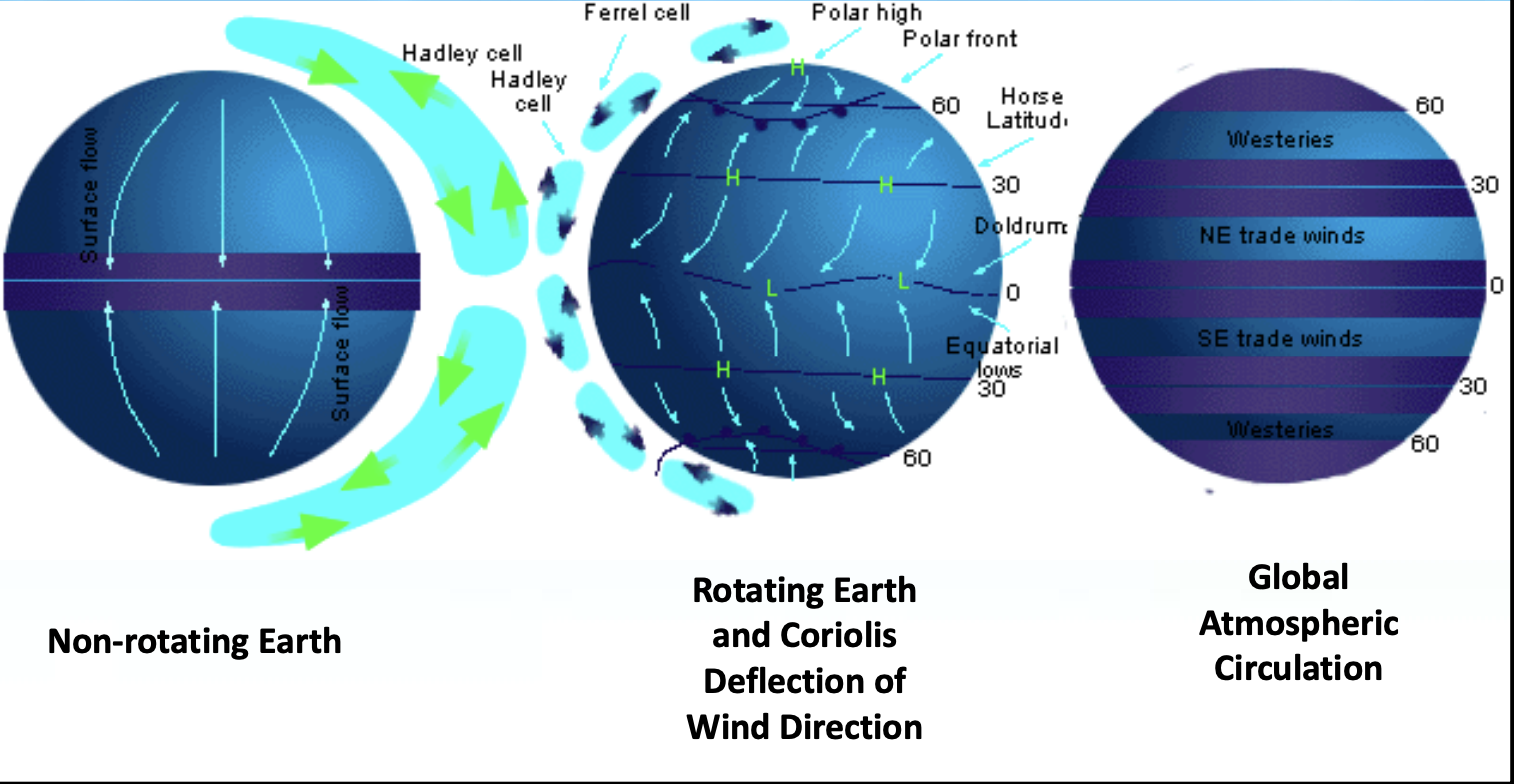 <p>For an unrotating earth, you have a simple circulation a hardly cell which is a regional flow of warm air that converges and rises while cool air descends. But because the earth is rotating, this flow of air is deflected by coriolis currents.</p>