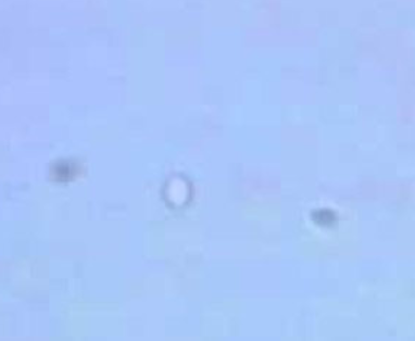 <p>cats only</p><p>must differentiate from giardia </p><p>trichotrichomonas progressive motility vs giardia “falling leaf” </p>