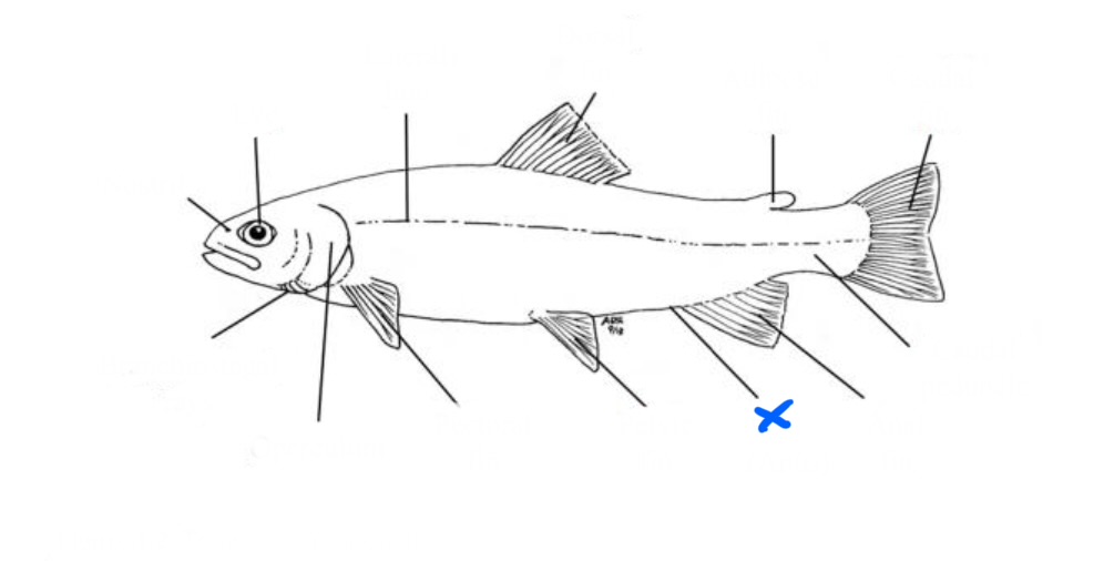 <p>What is this?</p>