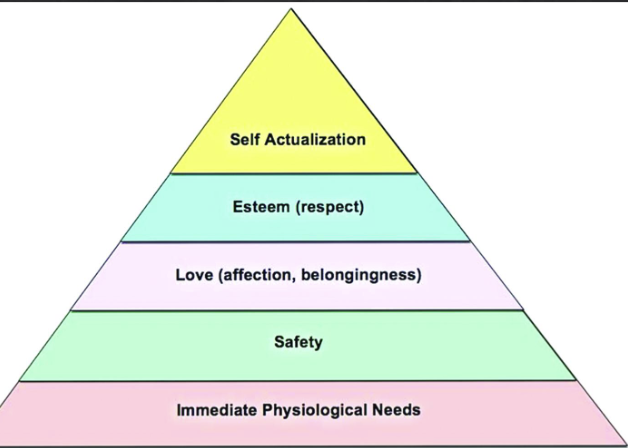 <p>human desire to elevate one’s self</p><p>cons: hard to define and measure, and why can’t we seek two needs at once </p>
