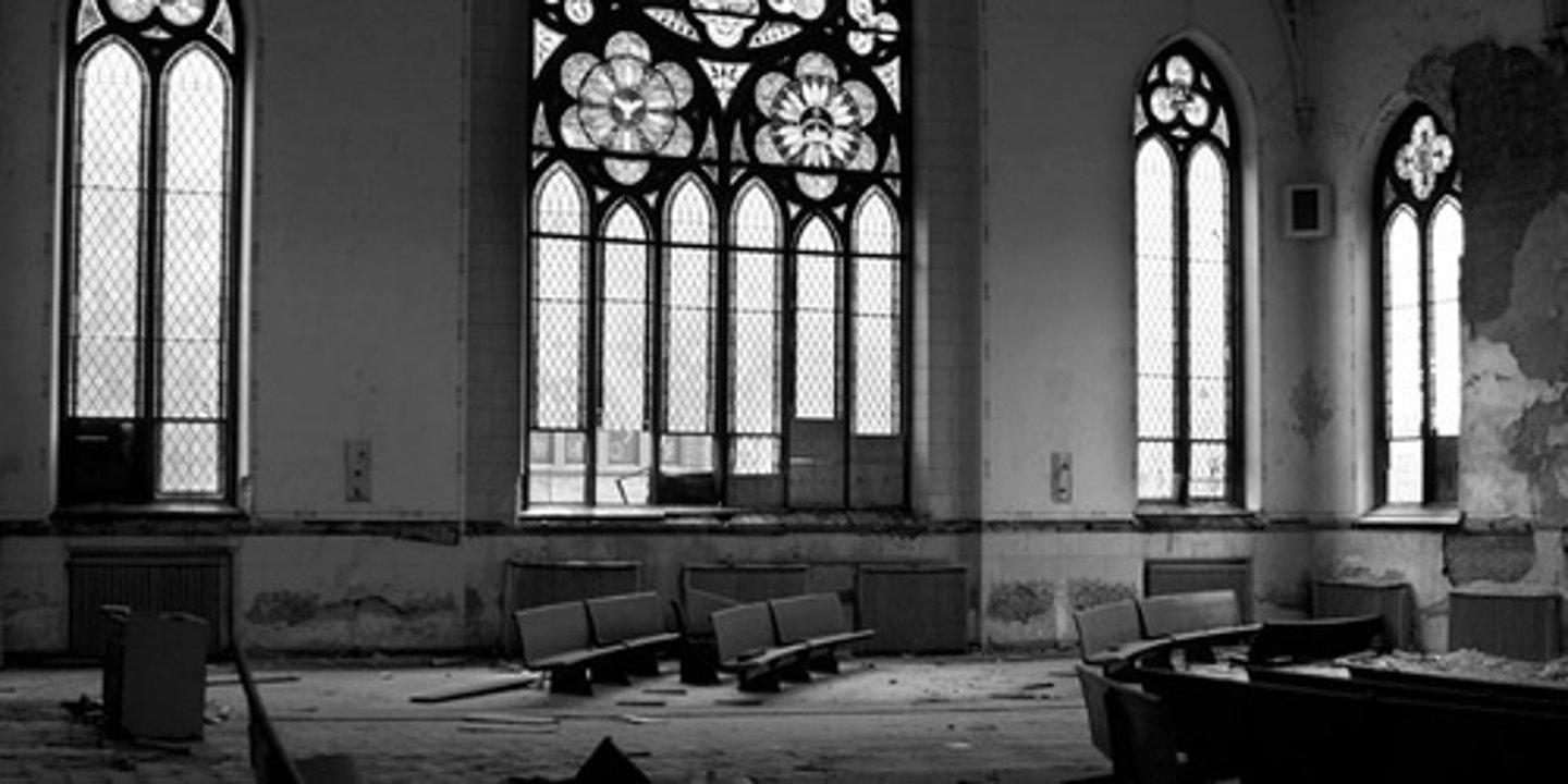 <p>This was the attempt to rid France of the influences of the Catholic Church in France. It involved the removing of religious names from streets, the looting of churches and even replacing the calendar.</p>