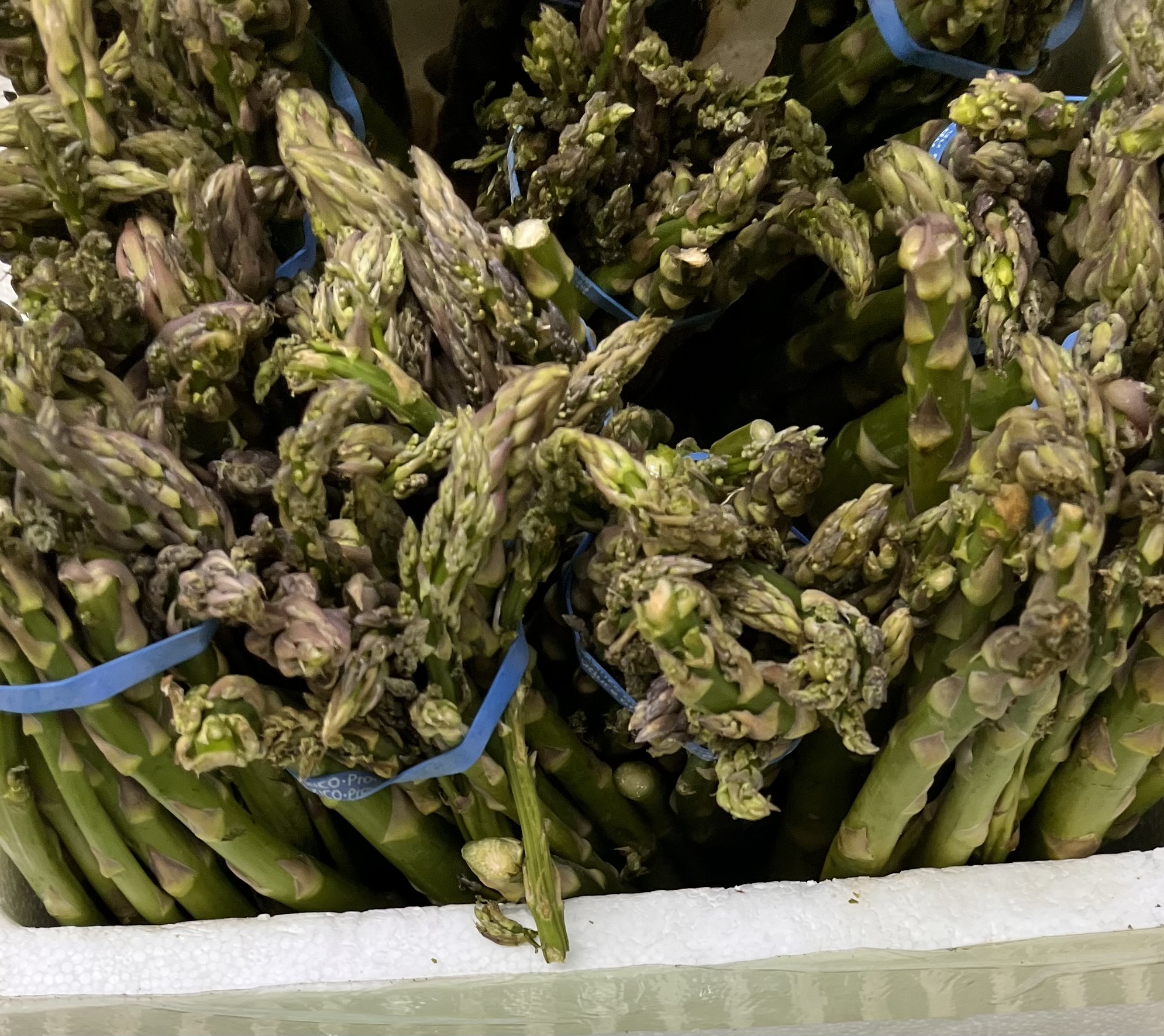 <p>ASPARAGUS SPEARS</p>