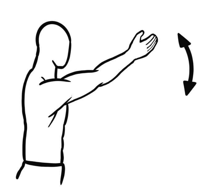 <p>Shoulder Flexion</p>