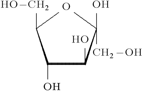 <p><span><mark data-color="unset" style="background-color: unset; color: inherit;">a simple sugar known for its sweetness found naturally in fruits, vegetables, and honey</mark>. It's known as a component of sucrose (table sugar), glucose, and is a key player in carbohydrate metabolism within the body</span></p>