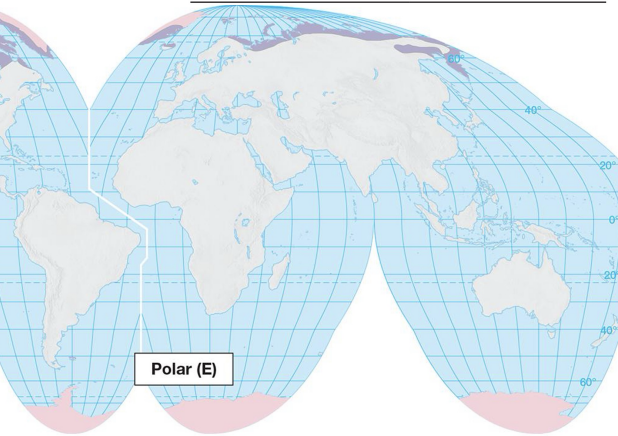 <p>polar climates: <strong>E</strong></p>