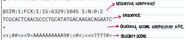 <p>A standard text-based format that stores both nucleotide sequences and their corresponding quality scores. </p><p></p>
