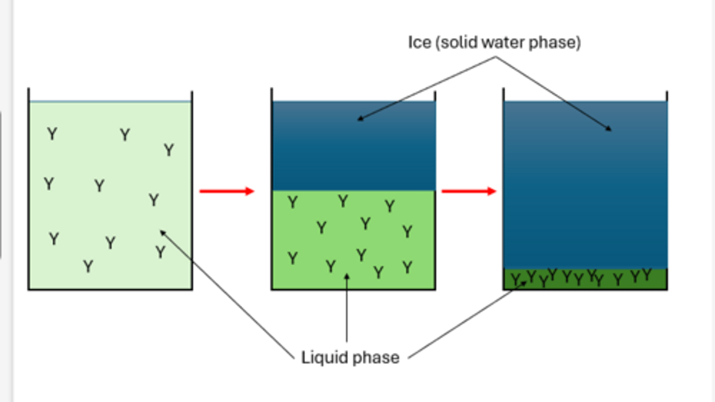 <p>the following image is showing</p>
