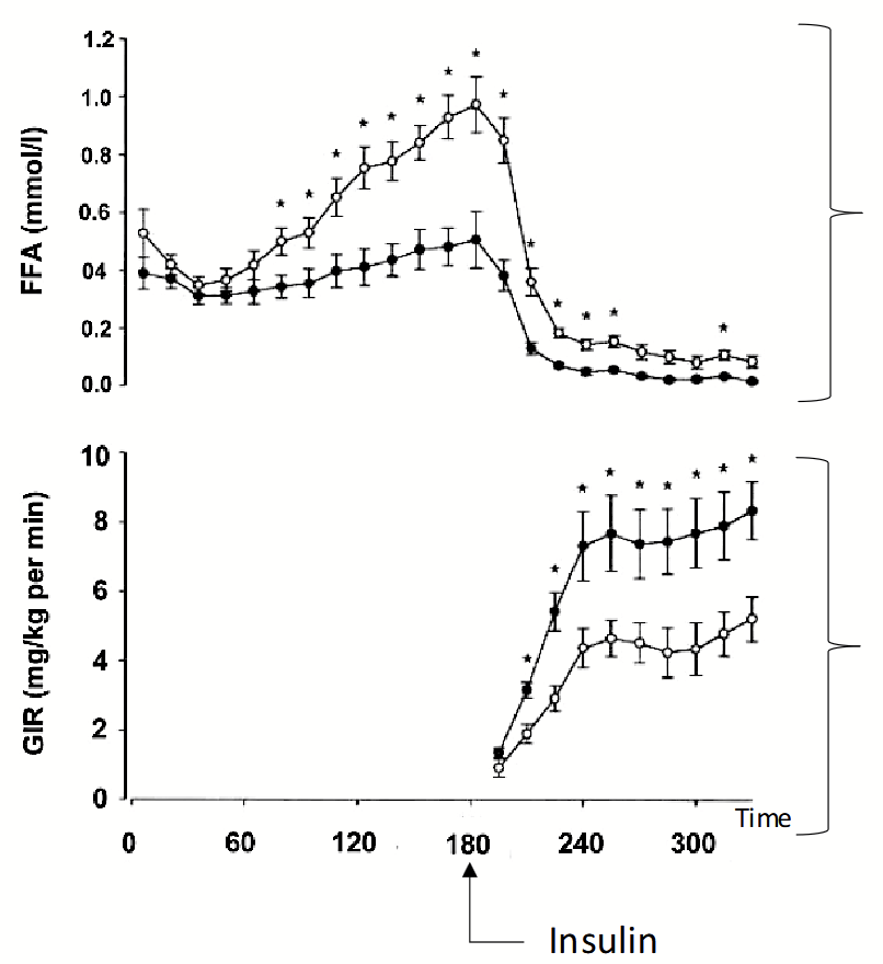 <ul><li><p>Greater levels of free fatty acids when hormone was infused → breakdown of lipids into FFA.</p></li><li><p>Lower levels of glucose when hormone was infused during hyperinsulinemic clamp → lower levels because we are using glucose.</p></li></ul><p></p>
