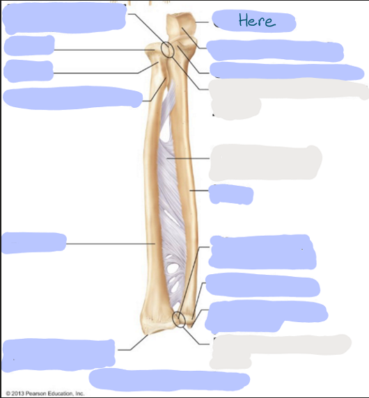 <p>What is here?</p>