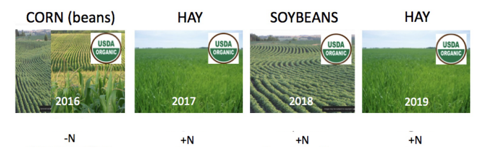 <p><span style="background-color: transparent;"><span>what were some </span><strong><span>agricultural uses </span></strong><span>for </span><strong><span>nitrogen-fixing organisms?</span></strong></span></p>