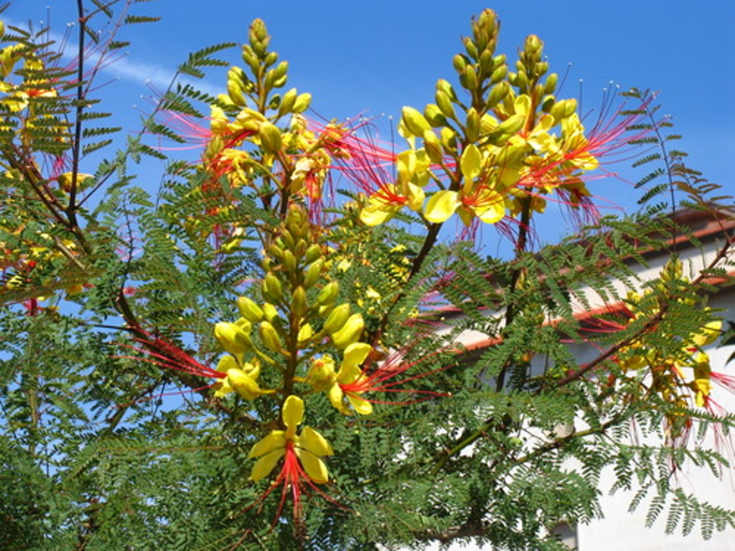 <p>Name?</p>