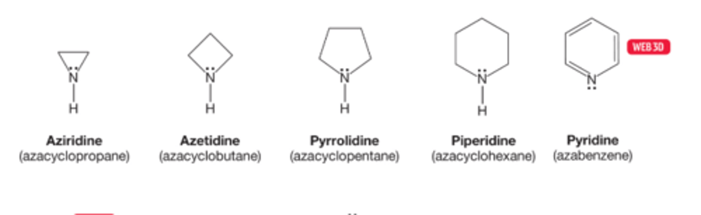 <p>cyclic amino compounds are widely found in nature and are almost invariably known by there common names</p><p>These compounds are often named as "aza" analogues of an all carbon system</p>