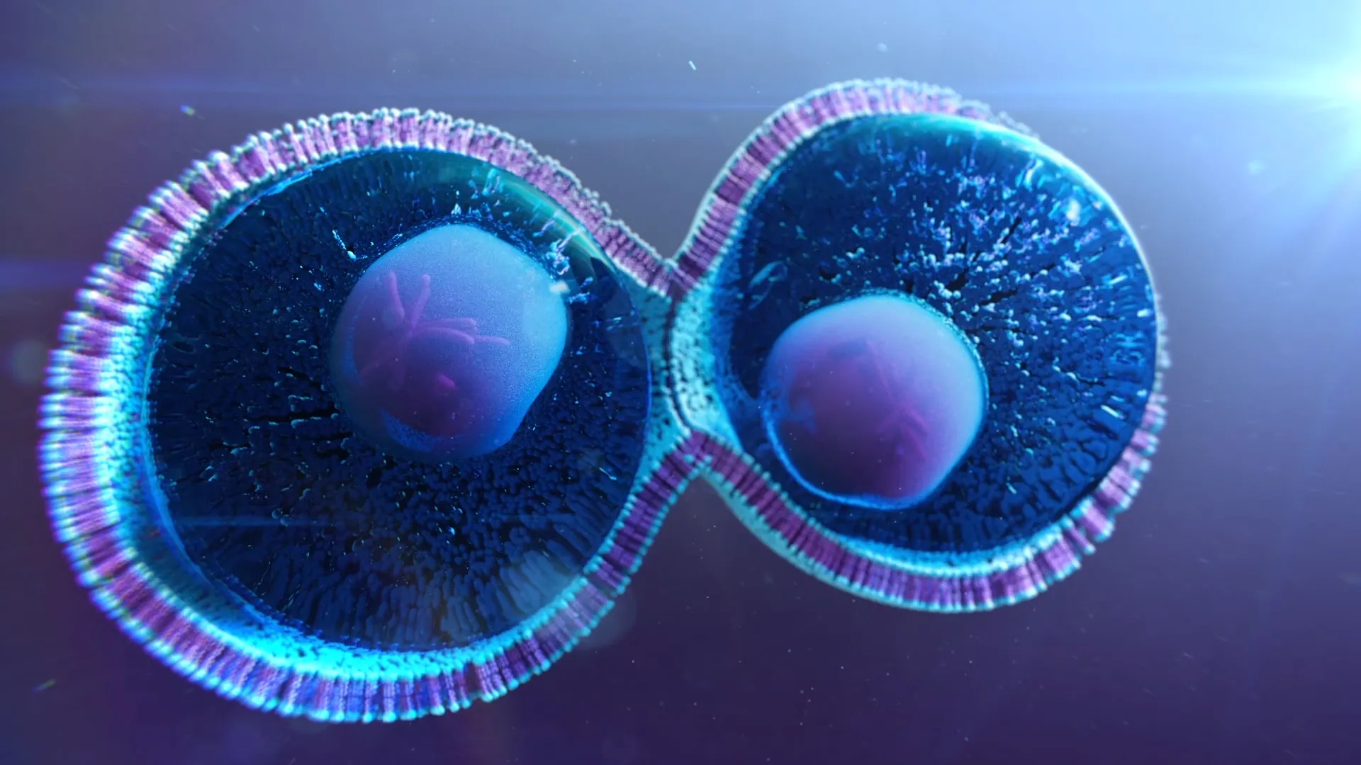 <p>what is occurring in this image?</p>