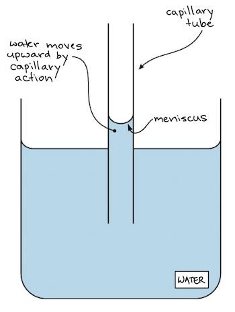 <p>Capillary action is the movement of a liquid through a narrow space, such as a tube, against gravity or without external forces. It occurs when the adhesive forces between the liquid and the surrounding solid surfaces are stronger than the cohesive forces between the liquid particles.</p>