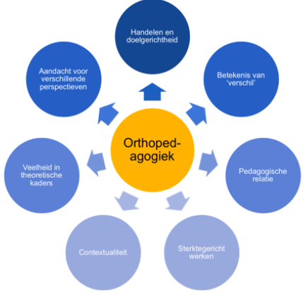 <p>1) Uitgaan van diversiteit (verschil) -<span>we vertrekken vanuit het feit dat het kind vb in een rolstoel zit en dat dit NORMAAL is (geen dichotomie tss normaal en abnormaal).</span></p><p><span>2) We kunnen niets realiseren als we vanop een afstand gedrag proberen te verklaren, wij gaan mee in de relatie.</span></p><p><span>3) We vertrekken vanuit sterktes van mensen (we zien vnl de talenten die achter de handicap schuil gaan).</span></p><p><span>4) Opvoeding w vnl d/d omgeving bepaald -&gt; POS we vertrekken vanuit een SITUATIE die als problematisch w ervaren.</span></p><p><span>5) We gaan ook psychologische kaders integreren.</span></p><p><span>6)</span> We hebben aandacht voor verschillende perspectieven -<span>je moet ervan bewust zijn dat jouw referentiekaders niet de referentiekaders zijn van je patiënten (eigen waarden en normen nooit opdringen → schaad de pedagogische relatie).</span></p><p><span>7)Niet aan de zijlijn staan maar om effectief handelen en echt iets te proberen doen aan de situatie van de persoon.</span></p>