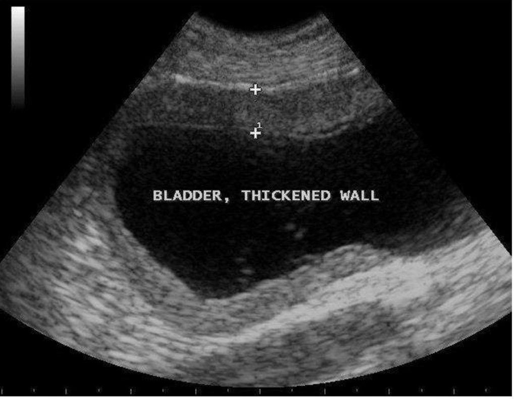 <p>What is being measured here?</p>