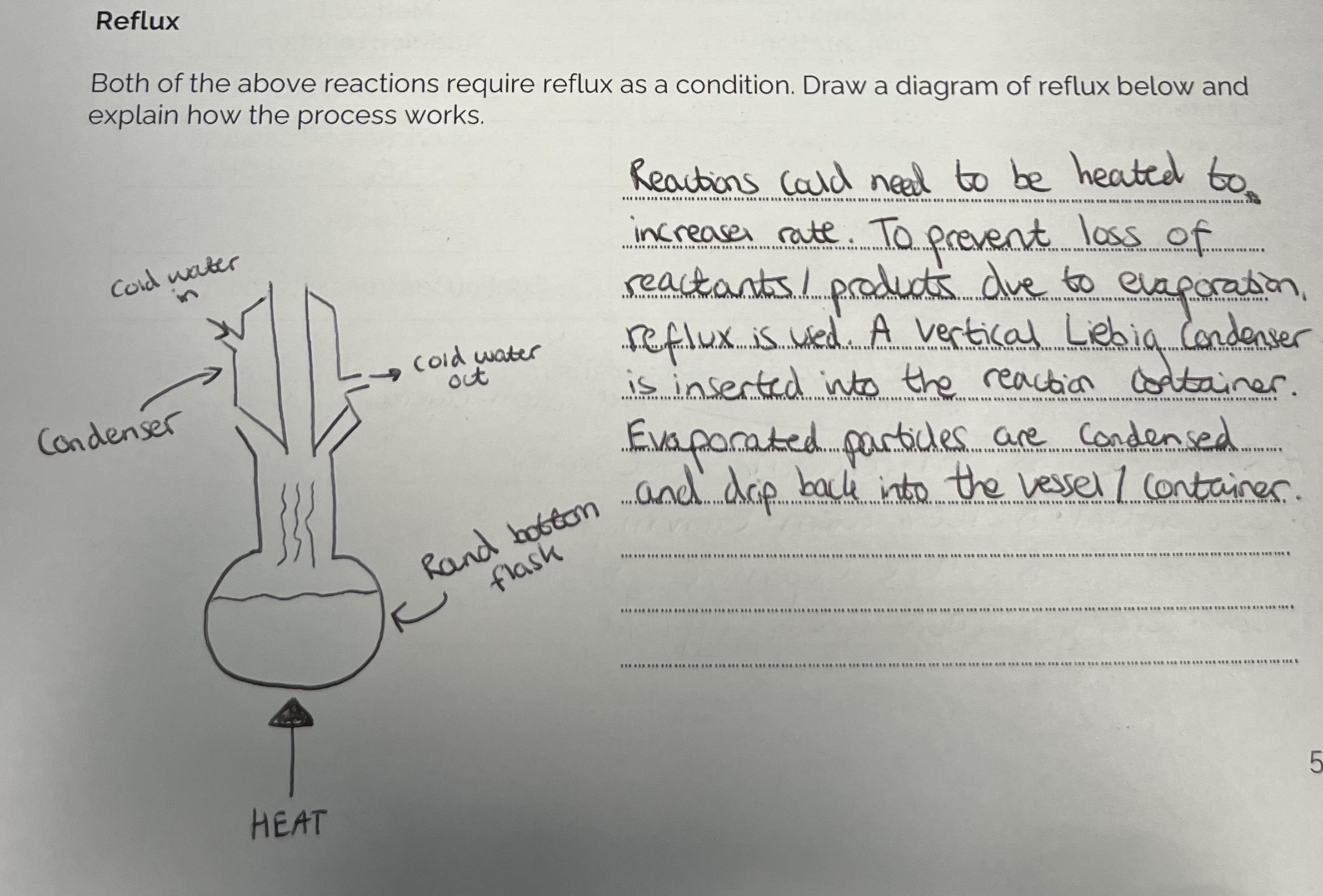 knowt flashcard image