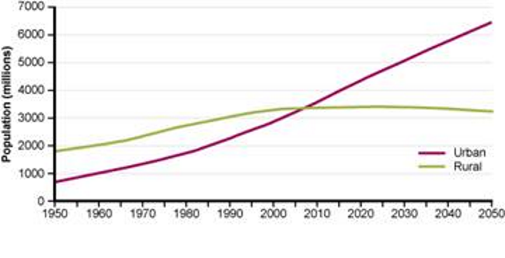 line graph 