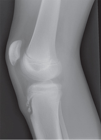 <p>what is this image?</p>