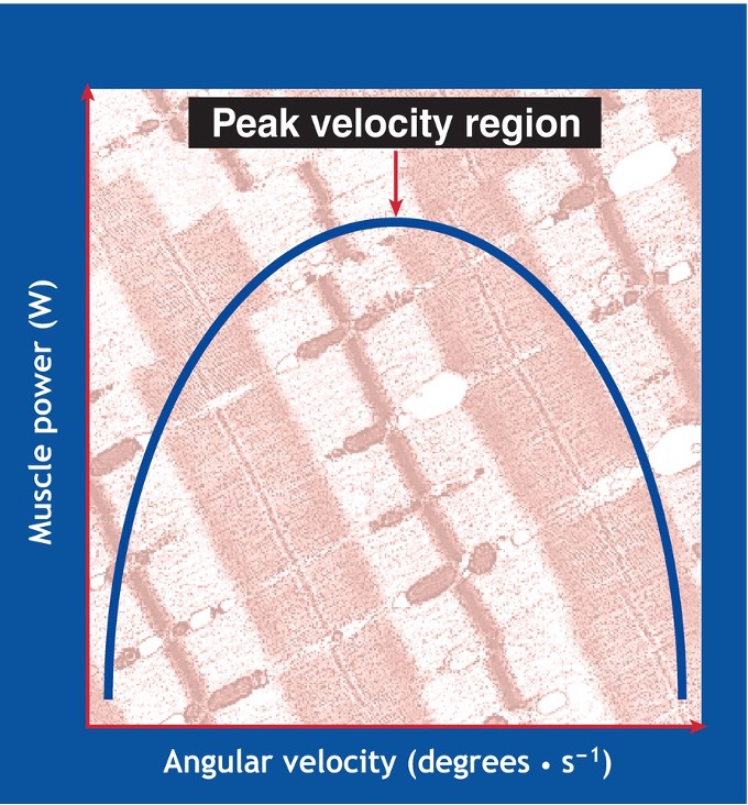 <p>This figure defines what relationship?</p>