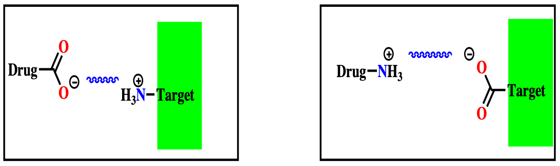 <p><span style="font-family: Wingdings">q</span><span style="font-family: Arial">Ionic bonds are the most important initial interactions as a drug enters the binding site</span></p><p><span style="font-family: Arial">&nbsp;&nbsp;</span><span style="font-family: Wingdings">q</span><span style="font-family: Arial">Takes place between groups of opposite charge</span></p>