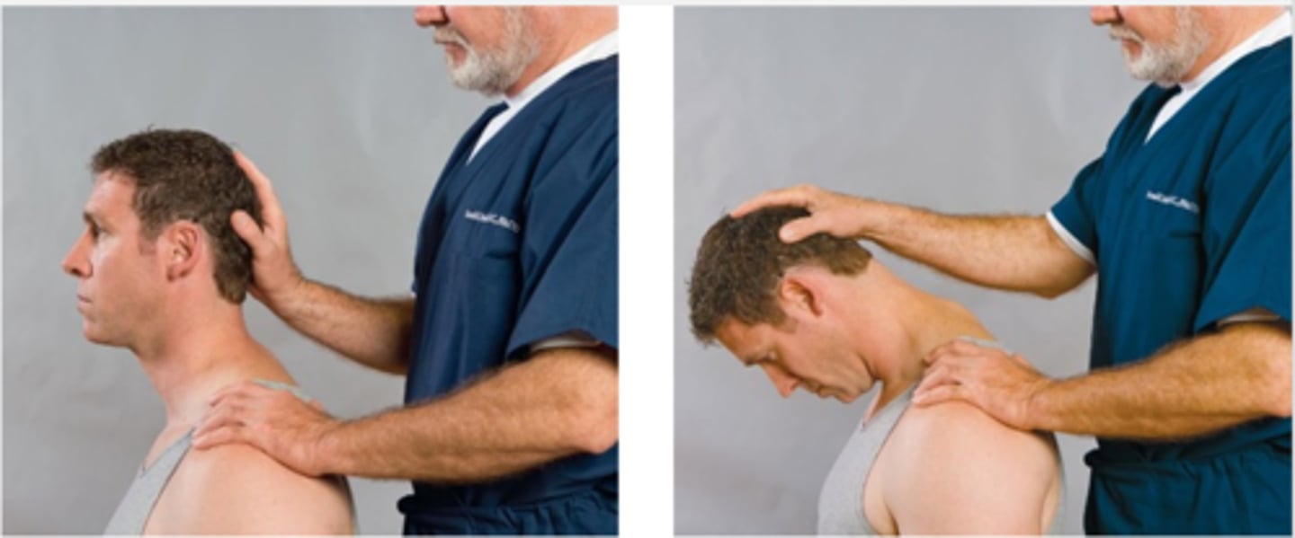 <p>Assessment for:</p><p>- Lumbar nerve root</p>