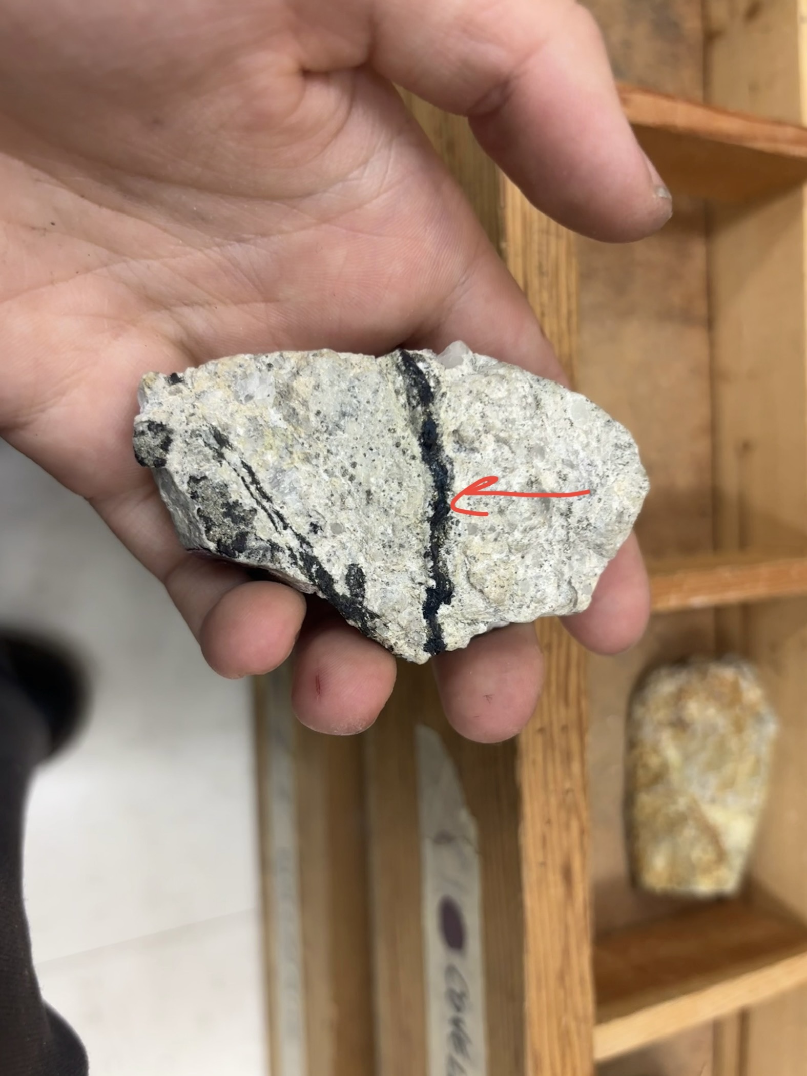 <p>Mineral, diagnosis</p>