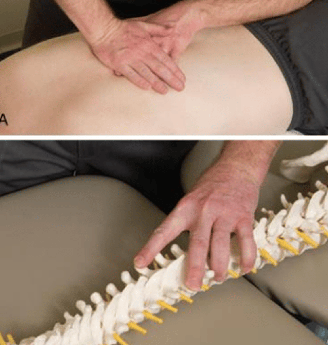 <p>- fingertip contact staggered on adjacent levels</p><p>- ex: T6 TP on L, T7 TP on R (right rotation)</p><p>- apply anterior glide</p>