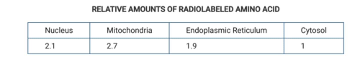 <p>In an experiment, researchers provided a radiolabeled amino acid to living plant cells. After one hour, the researchers determined the amount of the radiolabeled amino acid that was in each of several subcellular compartments. The results of the experiment are represented in the table.<br><br>Which of the following conclusions about the radiolabeled amino acid is best supported by the results of the experiment?</p>