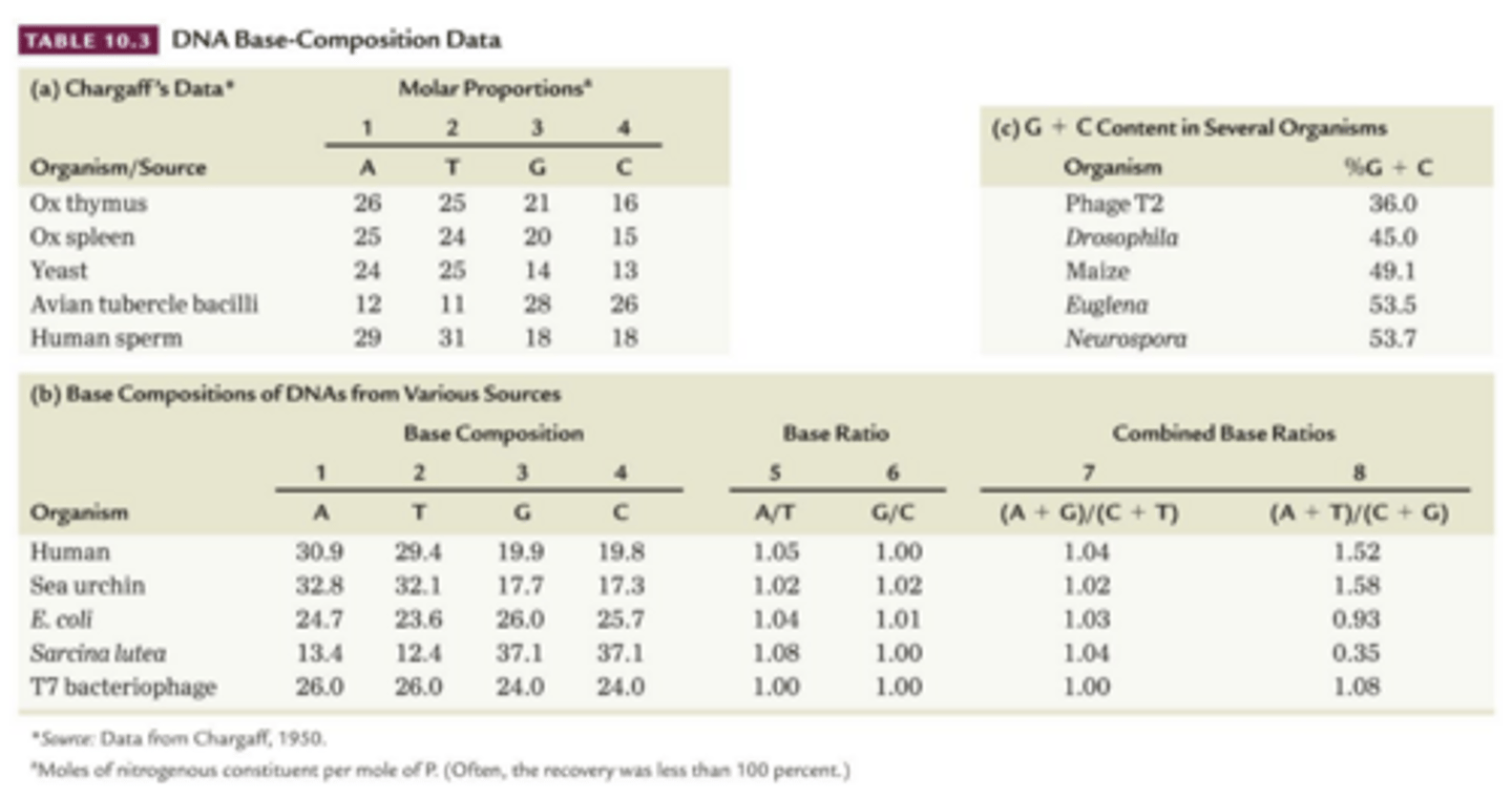 <p>Watson and Crick, 1953 </p><p>- proposed structure of DNA as a double helix </p><p>proposed as </p><p>Chargaff (1949-1953) </p><p>- proposed base composition </p><p>- amount of A is proportional to T </p><p>- amount of C is proportional to G </p><p>- Percentage of C+G does not equal percentage of A+T </p>