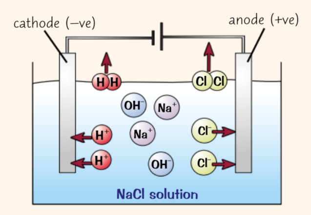 <ul><li><p>Solution of <strong>sodium chloride</strong> contains <strong>four different ions</strong>: Na⁺, Cl⁻, OH⁻, H⁺</p></li><li><p><strong>Sodium </strong>metal is more reactive than hydrogen<br>So at cathode, <strong>hydrogen gas</strong> produced</p><p>2H⁺ + 2e⁻ → H₂</p></li><li><p><strong>Chloride</strong> <strong>ions </strong>are present in solution<br>So at anode, <strong>chlorine gas</strong> produced</p><p>2Cl⁻ → Cl₂ + 2e⁻</p></li></ul>