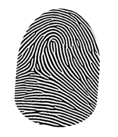 <p>left hand</p>
