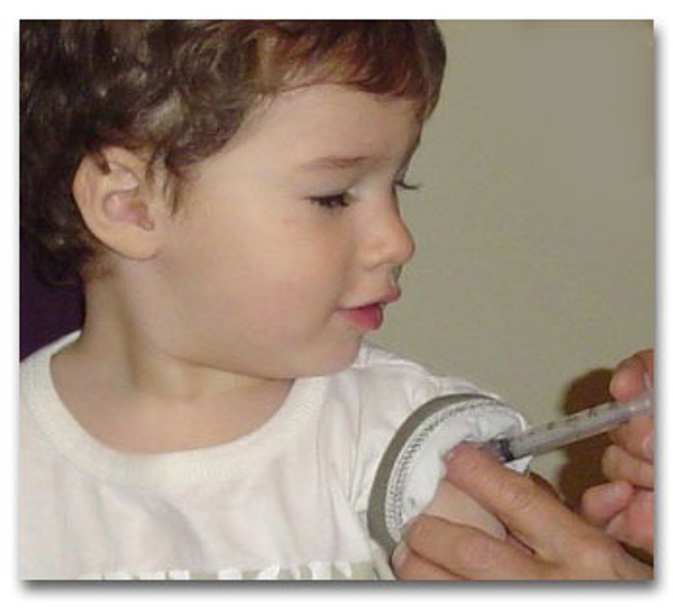 <p>The ability of the body to fight off infection.</p>