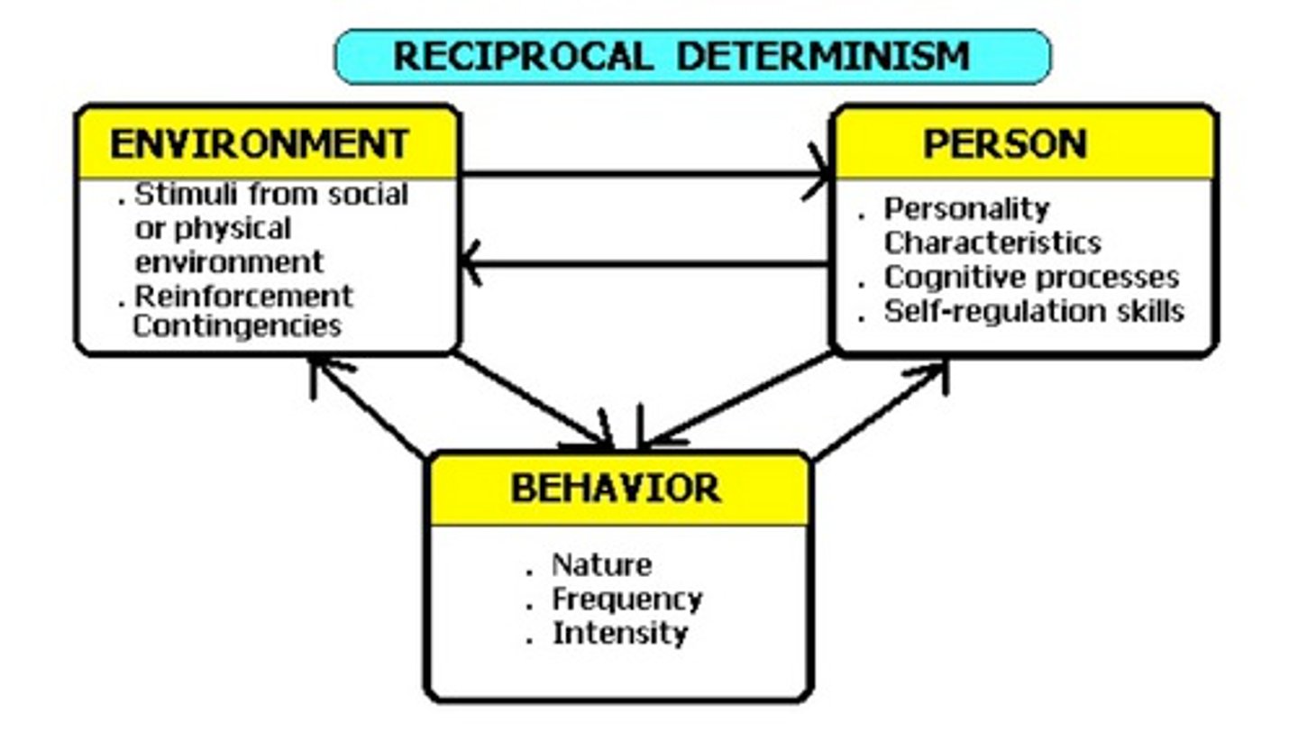 <p>the idea that a person's behavior both influences and is influenced by personal factors and their social environment</p>