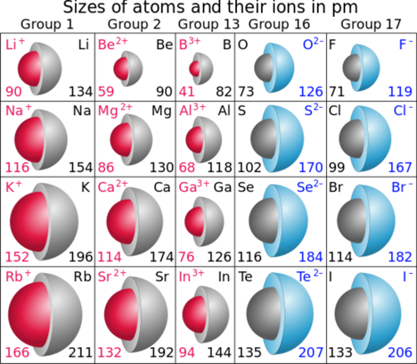 <p>(D) Mg2+</p><p>The Chief Cells in the Parathyroid Gland use Magnesium cations to trigger vesicular release, because of its similar structure.</p>