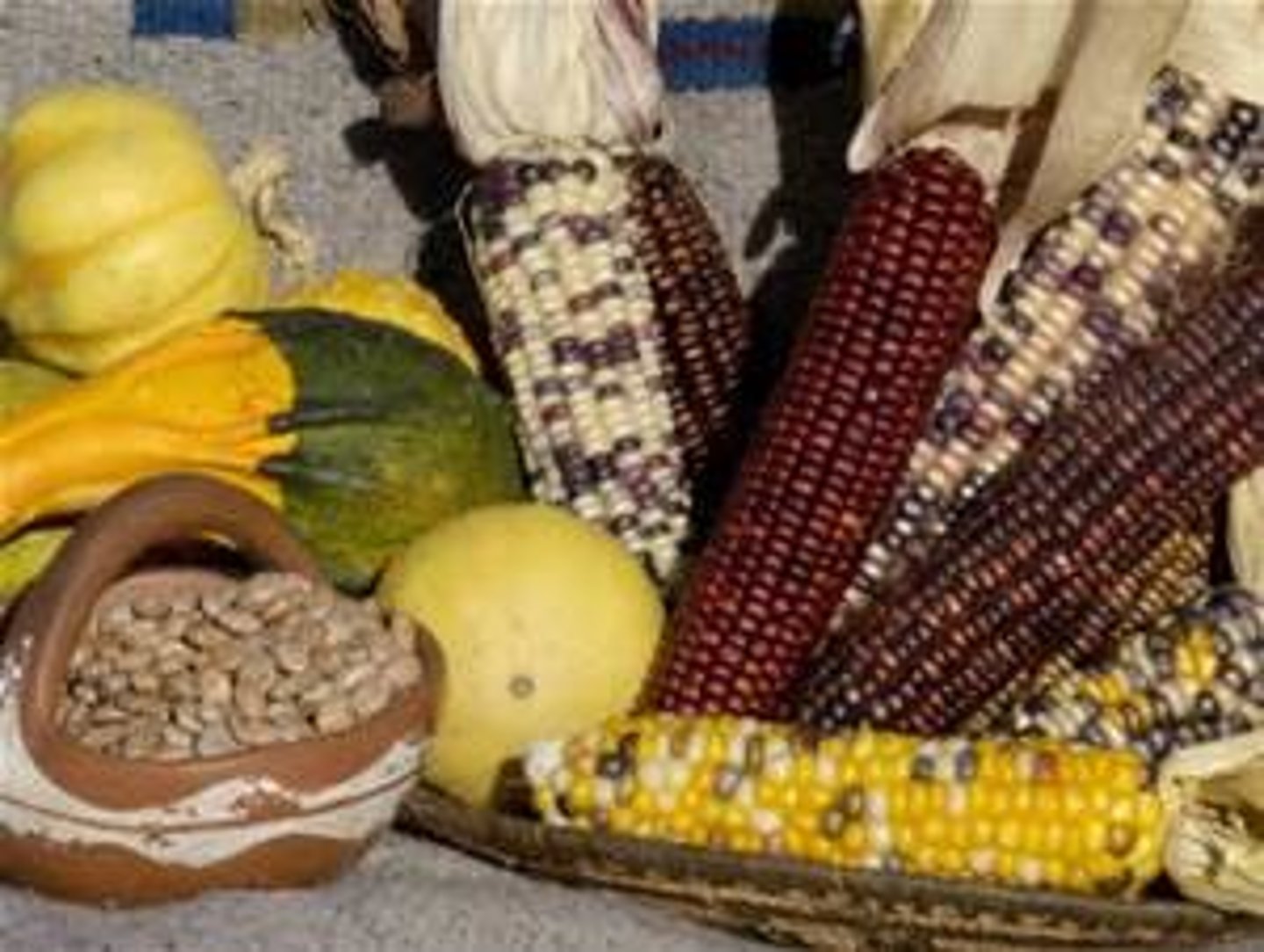<p>Around 9,000 years ago, about the same time human beings first began to domestic plants for food in other parts of the world, American Indians began to domesticate these three crops (among many others) which went on to form the basis of agriculture in the Western Hemisphere. This transition from hunting and gathering to settled agriculture is known as the "neolithic revolution" or "agricultural revolution." Not all Native Americans adopted agriculture, but many, such as the Aztec and Inca did.</p>
