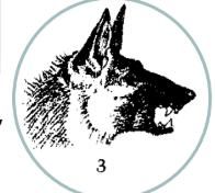 <ul><li><p><span style="background-color: transparent; font-family: "Times New Roman", serif;"><span>Hair sticking up</span></span></p></li><li><p><span style="background-color: transparent; font-family: "Times New Roman", serif;"><span>Teeth barred, mouth open</span></span></p></li><li><p><span style="background-color: transparent; font-family: "Times New Roman", serif;"><span>Ears up and slightly forward</span></span></p></li><li><p><span style="background-color: transparent; font-family: "Times New Roman", serif;"><span>Eyes wide open</span></span></p></li><li><p><span style="background-color: transparent; font-family: "Times New Roman", serif;"><span>Head posture up</span></span></p></li></ul><p></p><ul><li><p><span style="background-color: transparent; font-family: "Times New Roman", serif;"><span>Eyes open</span></span></p></li><li><p><span style="background-color: transparent; font-family: "Times New Roman", serif;"><span>Mouth open</span></span></p></li><li><p><span style="background-color: transparent; font-family: "Times New Roman", serif;"><span>Tail up - arousal</span></span></p></li><li><p><span style="background-color: transparent; font-family: "Times New Roman", serif;"><span>Trying to look big</span></span></p></li><li><p><span style="background-color: transparent; font-family: "Times New Roman", serif;"><span>Animal moving forward</span></span></p></li><li><p><span style="background-color: transparent; font-family: "Times New Roman", serif;"><span>Hair up</span></span></p></li></ul><p></p>