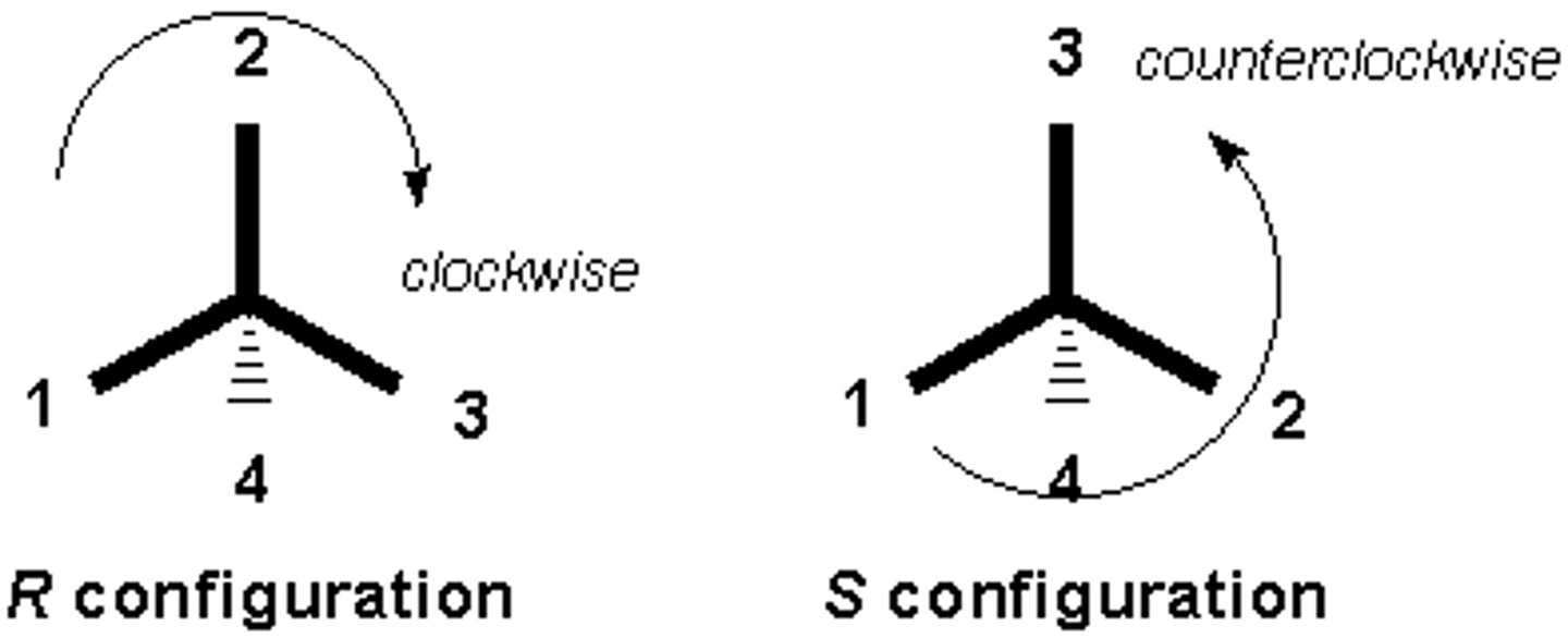 <p>(B) R, S</p><p>If it is clockwise, the designation would be R. If it is counterclockwise, the designation would be S.</p><p>l and d refer to how a chiral molecule rotates a plane of polarized light.</p>
