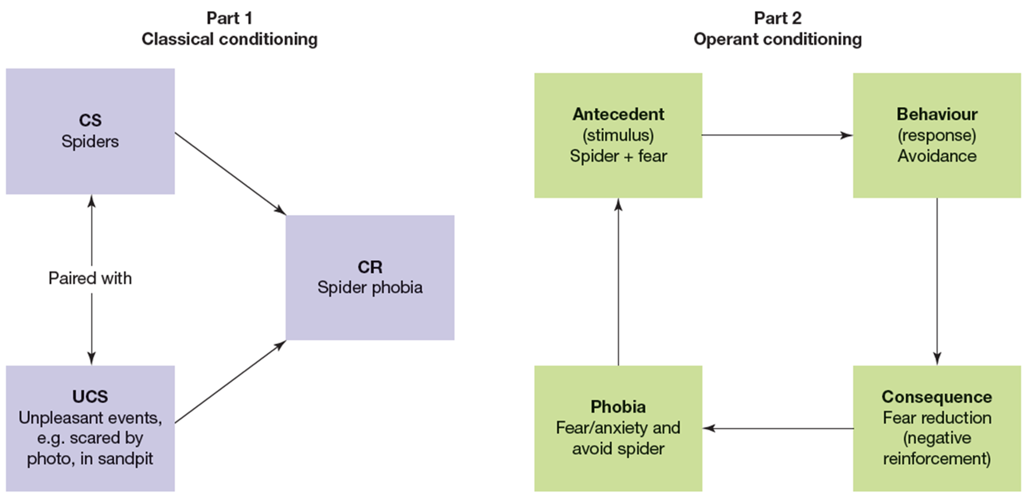 <p>After acquisition through classical conditioning, the phobia can be maintained and therefore perpetuated by operant conditioning.</p>