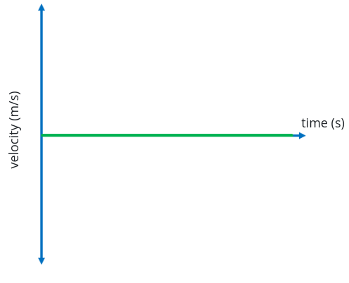 <p>Describe the direction of travel; describe the motion</p>