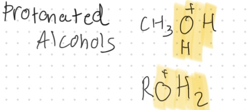 <p>Pronated Alcohol</p>