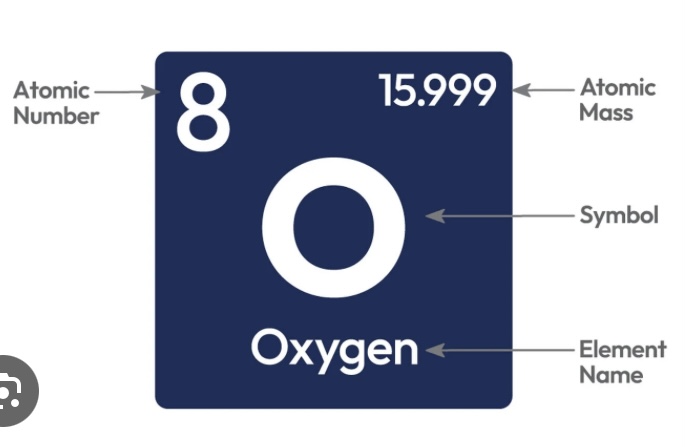 <ul><li><p><span style="font-family: &quot;Times New Roman&quot;, serif">Arranges elements by increasing atomic number (the number of protons in an atom's nucleus)</span></p><ul><li><p>protons &amp; electrons = atomic number</p></li><li><p>neutrons = atomic mass (rounded) - atomic number</p></li></ul></li><li><p><span style="font-family: &quot;Times New Roman&quot;, serif">Horizontal rows= Periods&nbsp;</span></p></li><li><p><span style="font-family: &quot;Times New Roman&quot;, serif">Vertical columns= Groups</span></p></li><li><p><span style="font-family: &quot;Times New Roman&quot;, serif">left side= metals</span></p></li><li><p><span style="font-family: &quot;Times New Roman&quot;, serif">right side= non-metals</span></p></li></ul><p></p>