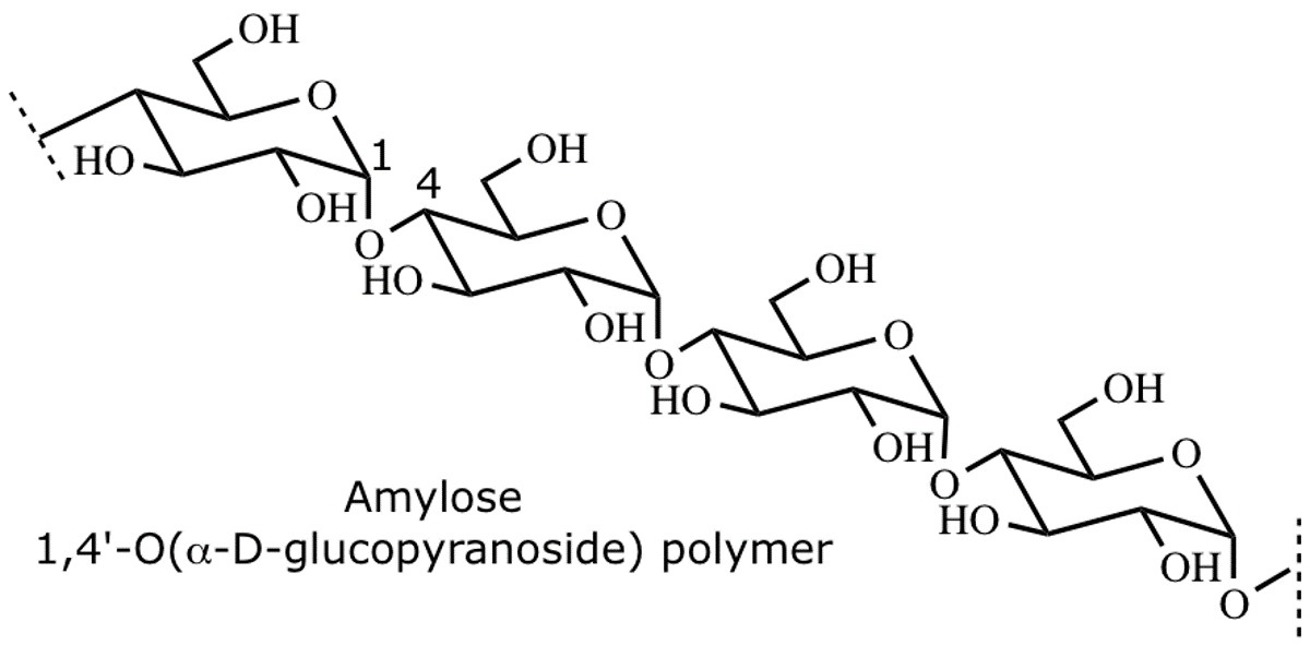 amylose