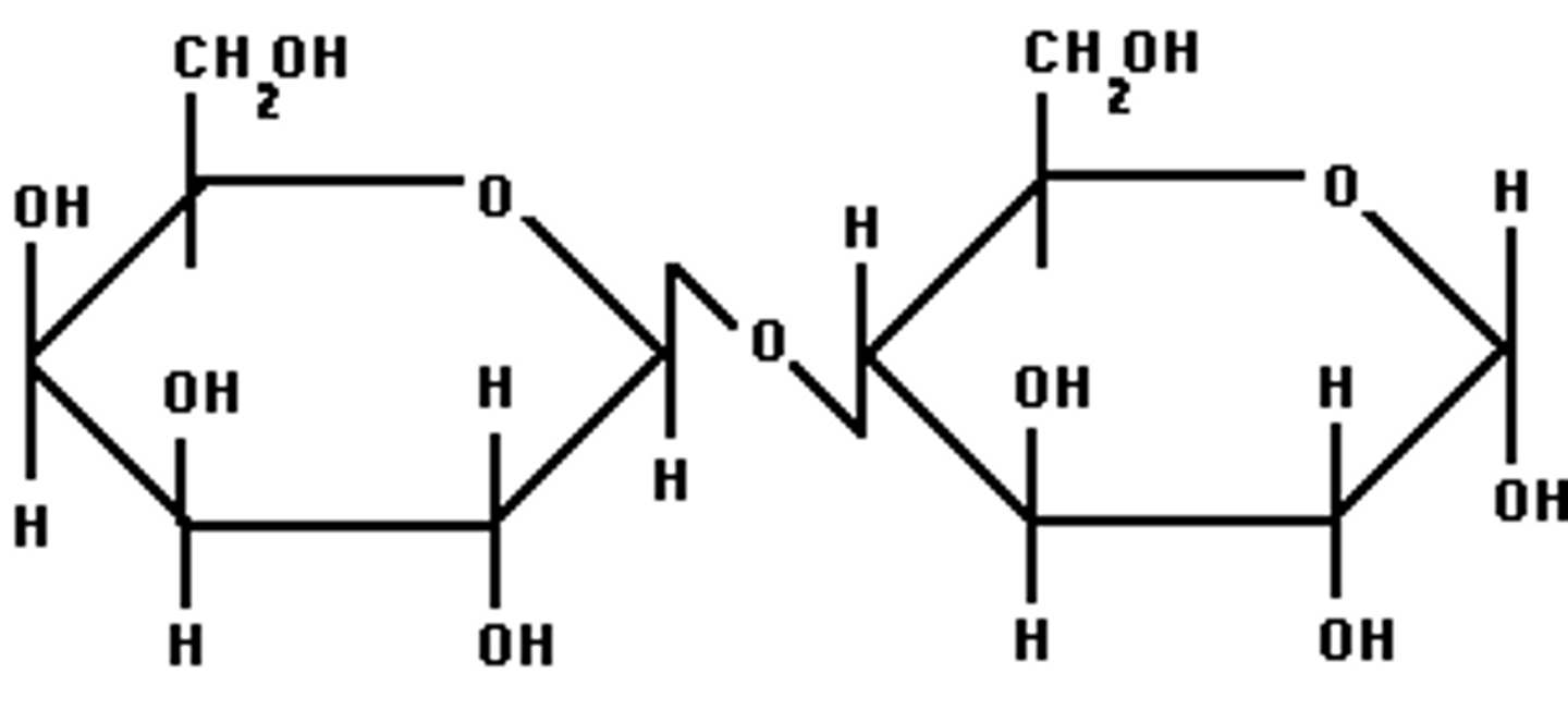 <p>Beta (lactose)</p>