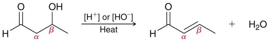 <p>When an aldol is heated or placed under basic/acidic conditions an unsaturated carbonyl forms. </p>