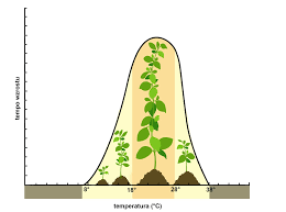 - możliwość bytowania organizmu w środowisku określają minima i maksima danego czynnika. 
- Tolerancja organizmów względem tego samego czynnika może być różna w zależności od płci i
wieku.
