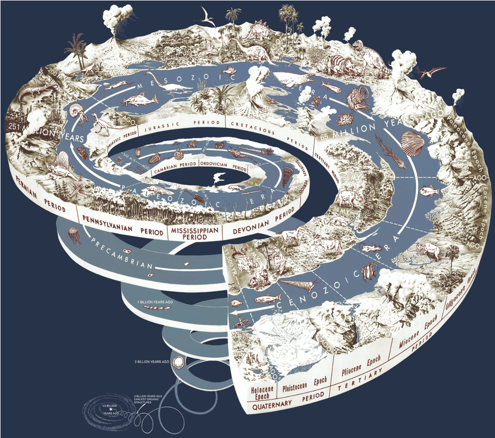<ul><li><p><span>Life appeared around 4.3-3.8 billion years ago.</span></p></li><li><p><span>Eukaryotes appear by 1.8 billion years ago</span></p></li><li><p><span>Animals appear around 650 Mya</span></p></li><li><p><span>Vertebrates appear ~518 Mya</span></p></li><li><p><span>Mammals appear ~225 Mya</span></p></li><li><p><span>Primates ~66 Mya</span></p></li><li><p><span>Humans ~300,000 years ago.</span></p></li></ul><p></p>